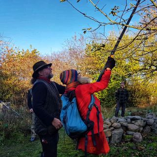 Obstbaumschnitt Seminar Wangeliner Garten