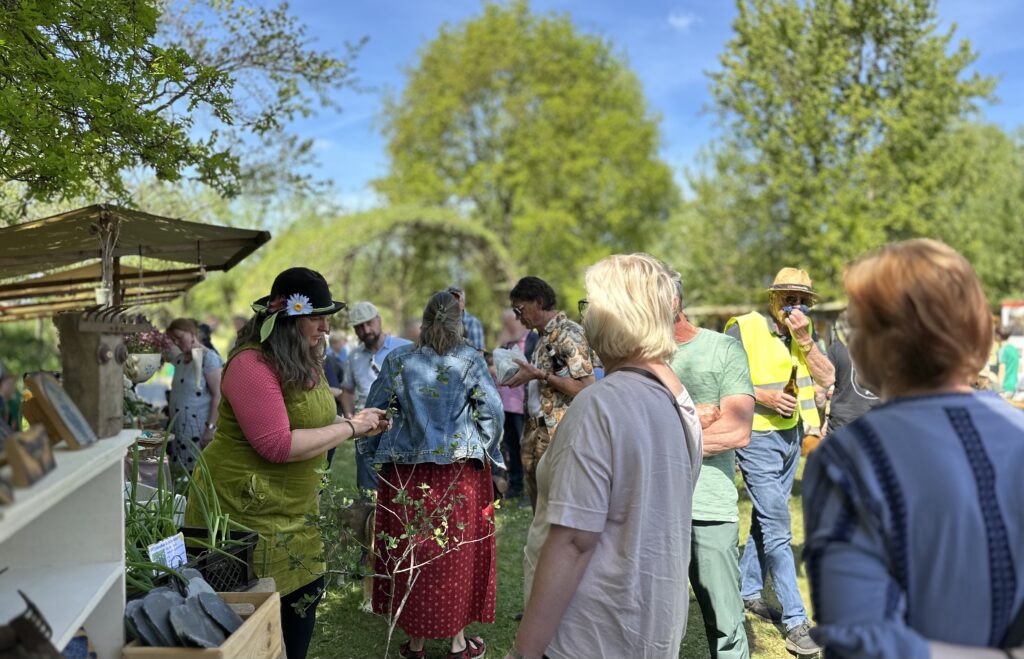 Besucher:innen beim Pflanzenmarkt im Wangeliner Garten 2025 bei Sonnenschein. Verkauf von Tomatenpflanzen und regionalem Kunsthandwerk.